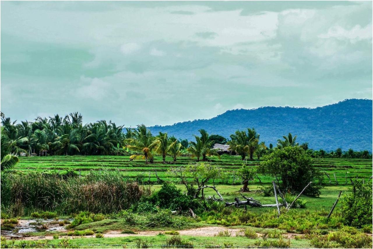 Hotel Yala Peace *